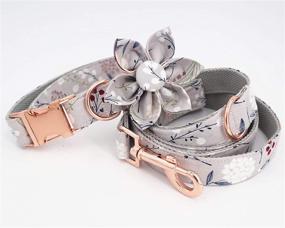 img 2 attached to Stylish Girl Dog Collar & Leash Set with Rose Gold Metal Buckle - Perfect for Pet Dogs and Cats (XS)