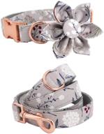 stylish girl dog collar & leash set with rose gold metal buckle - perfect for pet dogs and cats (xs) logo