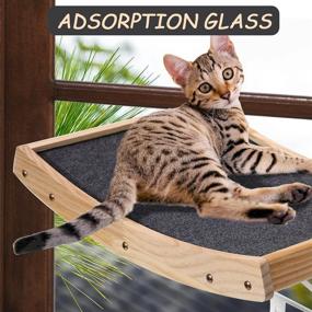 img 2 attached to ShellKingdom Cat Bed: Window Seat Suction Pet Resting Seat - Cat Hammock Sunbath for Cats up to 20lb