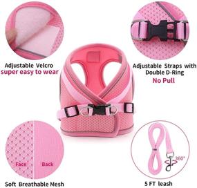 img 3 attached to 🐱 Escape Proof Cat Harness and Leash Set - Adjustable Kitten Harness for Walking - No Pull Step-in Vest Harness for Small Dogs and Cats - Reflective, Breathable, Lightweight - Ideal for Outdoor Activities