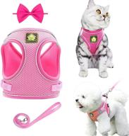 🐱 escape proof cat harness and leash set - adjustable kitten harness for walking - no pull step-in vest harness for small dogs and cats - reflective, breathable, lightweight - ideal for outdoor activities logo