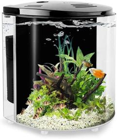 img 4 attached to YCTECH 1.2 Gallon Aquarium Starter Kits - Premium Betta Fish Tank with LED Light and Filter Pump - Stunning White and Black Design