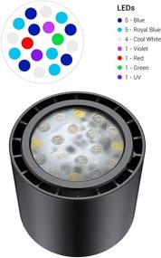 img 2 attached to 🌊 NICREW 30W LED Reef Aquarium Light, Dual Channel Wired Controller, Dimmable Nano Marine Light for Saltwater Coral Fish Tanks