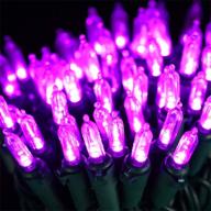 🎃 halloween string lights - hayata 24ft 100 led purple mini lights - outdoor and indoor halloween lighting decor for garden, yard, party, home, holiday, halloween decorations логотип