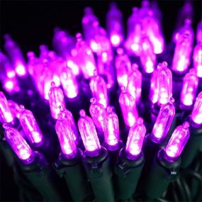 img 4 attached to 🎃 Halloween String Lights - HAYATA 24ft 100 LED Purple Mini Lights - Outdoor and Indoor Halloween Lighting Decor for Garden, Yard, Party, Home, Holiday, Halloween Decorations