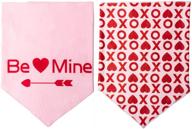 boombone valentines bandana triangle scarf logo
