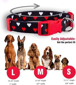 img 2 attached to ❤️ Valentine's Day Heart Dog Collar by Native Pup