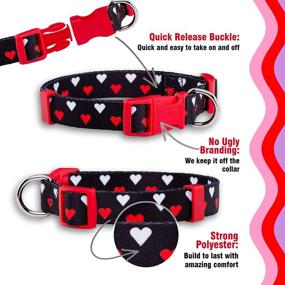 img 1 attached to ❤️ Valentine's Day Heart Dog Collar by Native Pup