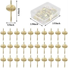 img 3 attached to 🕰️ TIMESETL 60 PCS Assorted One Step Hangers - Iron Alloy Nail Hooks, 20 lbs Capacity - Professional Plaster Picture Hanging Kit for Clocks, Mirrors, Picture Frames - Wooden or Drywall Mounting Hardware Included - Ideal for Jewelry Display and More