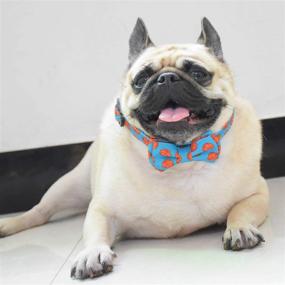 img 3 attached to 🐶 XPangle Бабочка на ошейник для собаки - полиэстер, регулируемый и прочный ошейник с крепкими пластиковыми застежками для маленьких, средних и больших собак.