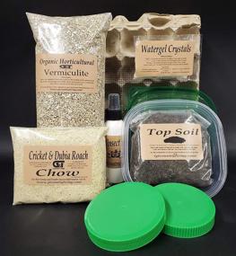 img 3 attached to Complete Cricket Colony Starter Kit: 6-Egg Flats, Vermiculite, Top Soil, Screen, Feed Sample & More!