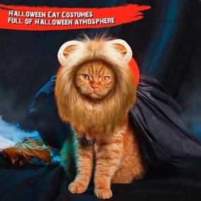 img 1 attached to 🎃 Frienda 5 Piece Halloween Pet Costume Set - Cat Lion Mane, Pet Cape, Vampire Cloak, Witch Hat, and Bat Wings - for Cat and Puppy Cosplay Party Supplies