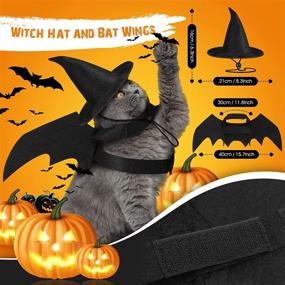 img 2 attached to 🎃 Frienda 5 Piece Halloween Pet Costume Set - Cat Lion Mane, Pet Cape, Vampire Cloak, Witch Hat, and Bat Wings - for Cat and Puppy Cosplay Party Supplies