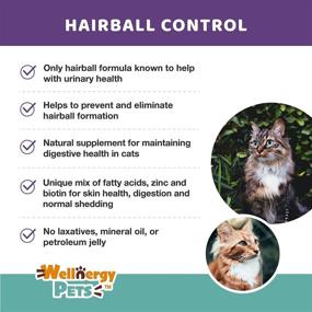 img 2 attached to Natural Hairball Control Chews for Cats with Omega 3 & 6 Fatty Acids, 🐱 Zinc, Biotin, and Cranberry - Promotes Healthy Skin & Coat, Digestion, and Urinary Health. 70ct