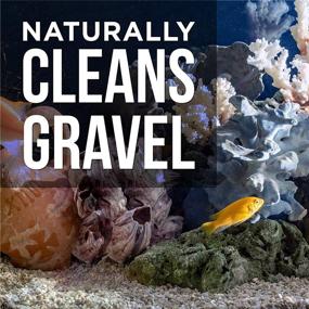 img 1 attached to Natural Rapport Aquarium Gravel Cleaner: Enhance Fish Health & Tank Hygiene with the Ultimate Gravel Cleaning Solution (16 fl oz)