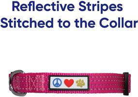 img 2 attached to Pawtitas Reflective Dog Collar with Stitching, Adjustable Buckle 🐾 and Training Benefits - Ideal Reflective Thread Collar for Small Dogs