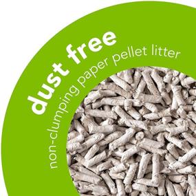 img 3 attached to 🐾 Eco-friendly Dust-Free Natural Paper Non-Clumping Cat Litter Pellets with Odor Control, Large Size, 12.3 lbs