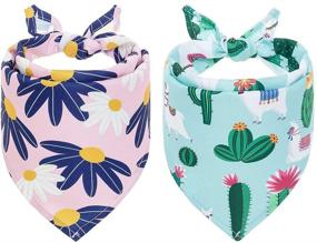 img 4 attached to 🐶 PUPTECK Dog Floral Bandanas - 2 Pack Cactus Daisy Triangle Bibs Scarf, Pet Flower Outfit Kerchiefs for Small to Large Dogs Cats - Cute Pattern Accessories