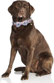 img 1 attached to 🐶 Adjustable Christmas Dog Collar with Cute Bow Tie and Bells - Enhanced SEO