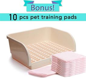 img 3 attached to 🐰 Premium Large Rabbit Litter Box with Bonus Pads, Convenient Drawer, Corner Toilet Box, and Spacious Pet Pan for Adult Guinea Pigs, Chinchilla, Ferret, Galesaur, and Small Animals