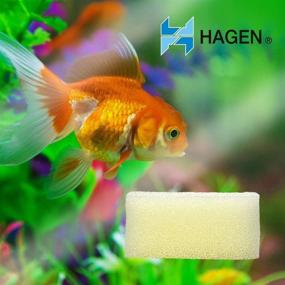 img 2 attached to 🐠 AquaClear 50 Foam Filter Insert - Ideal Aquarium Filter Replacement Media (Model A613)