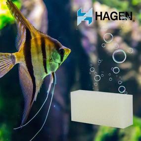 img 3 attached to 🐠 AquaClear 50 Foam Filter Insert - Ideal Aquarium Filter Replacement Media (Model A613)