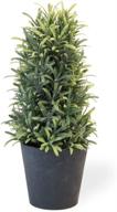 🌿 boston international 12-inch faux potted plant with decorative rosemary bush logo
