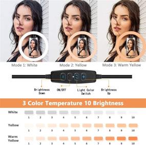 img 3 attached to 📸 10-Inch Selfie Ring Light with Stand, Phone Holder, Remote Shutter, and Camera Tripod – PEYOU LED Ring Light Tripod Ideal for Live Stream, Makeup, TikTok – Compatible with iPhone Camera – Champagne