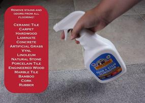 img 3 attached to BARN BE GONE Superhero Strength Stain & Pet Odor Eliminator: Enzyme Carpet Cleaner Spray for Pets, Urine Destroyer, Stain Remover, & Pee Deodorizer - Ideal for Small Pets, Puppies, Dogs, and Cats