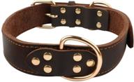 🐶 berry pet dog collar leather: premium latigo leather for daily walking and sports training logo