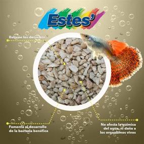 img 1 attached to 🐠 Spectrastone Ocean Beach Pebble 5lb Bag - Ideal for Freshwater Aquariums