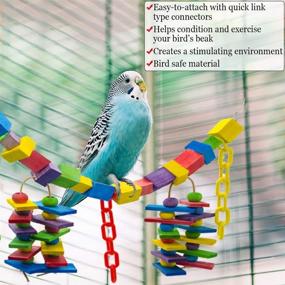 img 3 attached to Parrot Brings Challenges Stimulates Genius