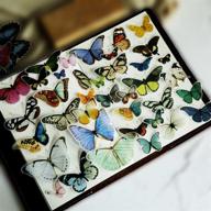 aireen cat scrapbook butterfly embellishments logo