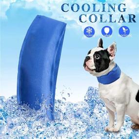 img 3 attached to 🐶 Shenzhi Tech Dog Summer Cooling Collar: Stay Cool in Hot Weather with Adjustable Ice Pad Collar for Small Medium Large Dogs