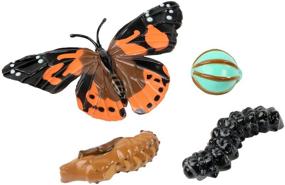 img 2 attached to 🦋 Discover the Magic of Nature with Insect Lore's Giant Butterfly Kit!