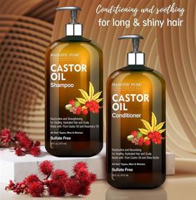 img 1 attached to Majestic Pure Castor Oil Shampoo and Conditioner Set: Restorative, Nourishing, Sulfate-Free, Daily Hair Care for Men and Women - 16 fl oz Each