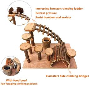 img 3 attached to 🐹 Wooden Hamster Bridge and Climbing Ladder Activity Set - Small Animals Platform Ramps Playground Toys for Mouse, Dwarf Hamster, Gerbil, Rat, Sugar Glider, Syrian Hamster