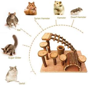 img 2 attached to 🐹 Wooden Hamster Bridge and Climbing Ladder Activity Set - Small Animals Platform Ramps Playground Toys for Mouse, Dwarf Hamster, Gerbil, Rat, Sugar Glider, Syrian Hamster