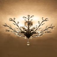 cvkash crystal chandelier， fixture，ceiling foyer（black） логотип