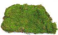little valley large sheet moss logo