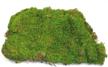 little valley large sheet moss logo
