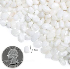 img 3 attached to 🪨 2.7 lb Natural Polished White Pebbles - Small 3/8" Gravel Size Stones for Plants, Home Decor, Aquarium, Vase Fillers, Fairy Garden, Landscaping Outdoor
