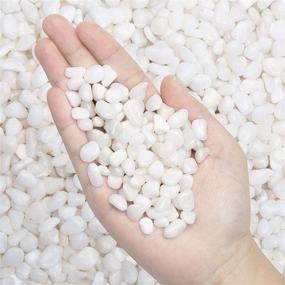 img 4 attached to 🪨 2.7 lb Natural Polished White Pebbles - Small 3/8" Gravel Size Stones for Plants, Home Decor, Aquarium, Vase Fillers, Fairy Garden, Landscaping Outdoor