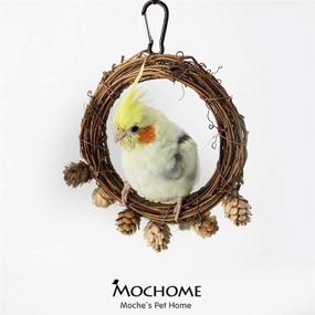 img 1 attached to Enhance Your Bird's Habitat with the ATB2U Wooden Bird Swing Perch - Natural Wood Hanging Toy 🐦 for Small Sized Birds - Chewing and Playing Delight for Parrots, Parakeets, Budgies, and Cockatiels in Cage Hammock