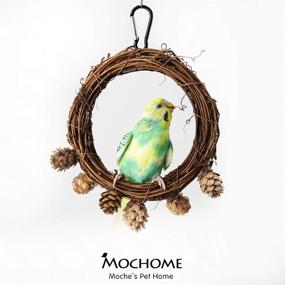 img 2 attached to Enhance Your Bird's Habitat with the ATB2U Wooden Bird Swing Perch - Natural Wood Hanging Toy 🐦 for Small Sized Birds - Chewing and Playing Delight for Parrots, Parakeets, Budgies, and Cockatiels in Cage Hammock