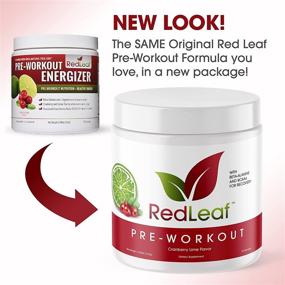 img 2 attached to 🍃 Red Leaf Pre Workout Energizer Powder: Boost Immunity and Energy with BCAA's, Beta-Alanine, Amino Acids, and Green Tea - Natural Cranberry Lime Flavor, 30 Servings