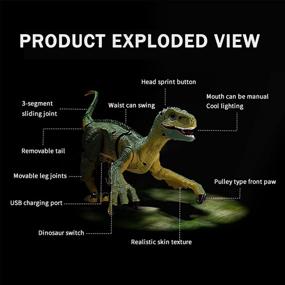 img 2 attached to 🦖 Rechargeable Velociraptor Joyshare Simulation for Dinosaur Enthusiasts