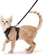 harness leash walking escape inches logo
