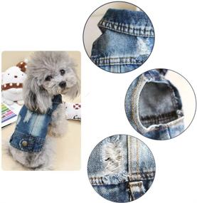 img 2 attached to 🐶 Cuteboom Dog Jeans Puppy Jacket Cat Clothes Pet Costume Small and Medium Dog Cool Coat Blue Hoodies: Stylish Pet Apparel for Fashion-forward Canines and Felines!