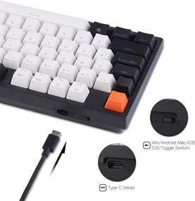 img 1 attached to 🔑 Keychron C1 Hot-swappable Mechanical Keyboard - Gateron Blue Switch, Double-Shot ABS Keycaps, White Backlight, USB Type-C Cable - Tenkeyless 87 Keys - Mac Windows PC Laptop Compatible